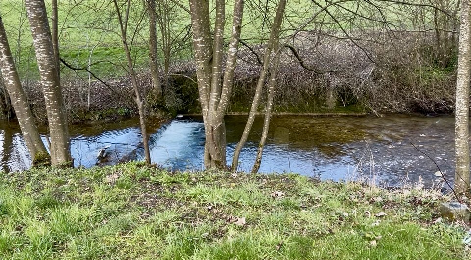 Massagepraxis Karin Rohrer